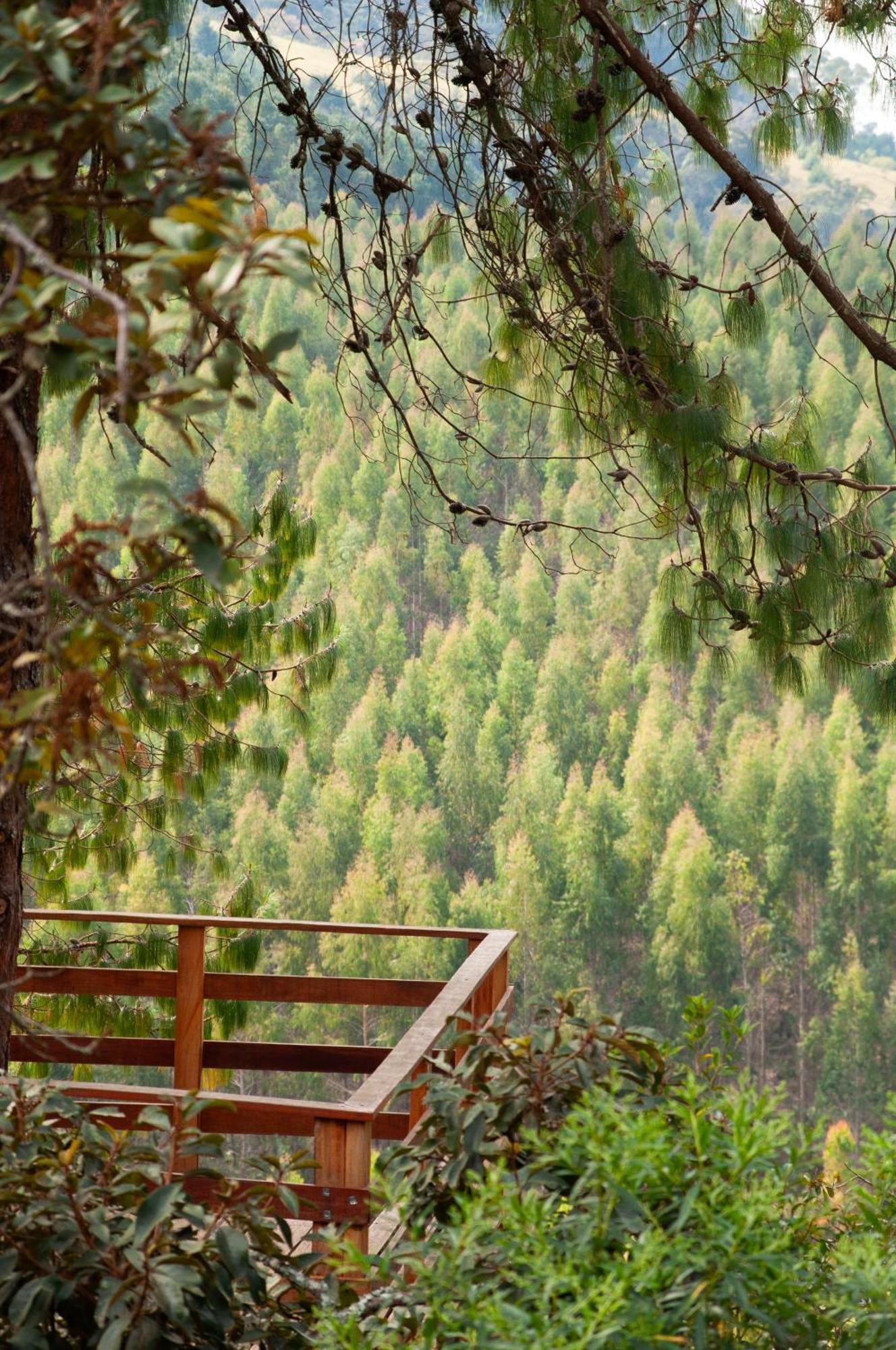 Pousada Recanto Do Saua - Monte Verde Monte Verde  Exterior photo