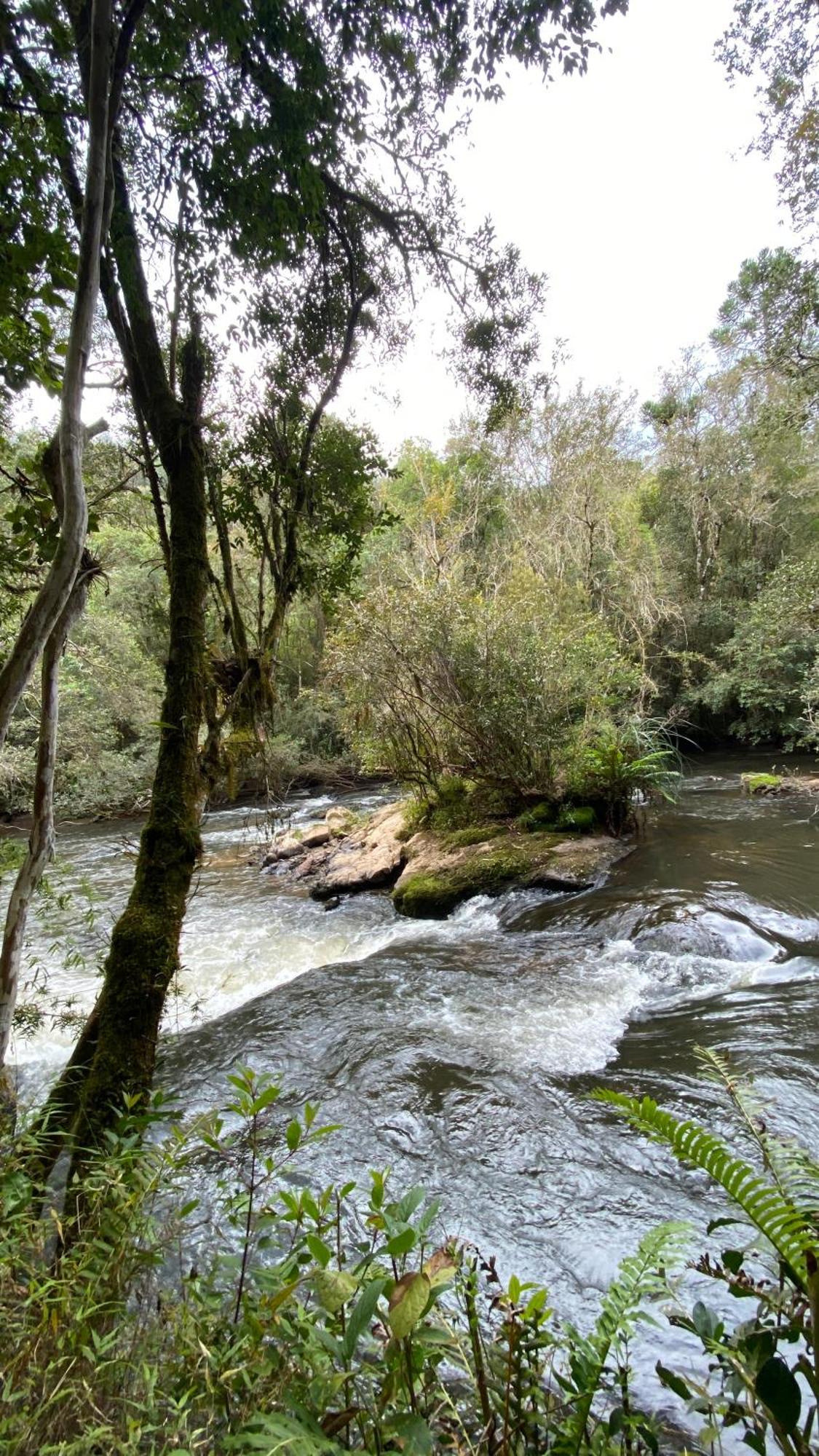 Pousada Recanto Do Saua - Monte Verde Monte Verde  Exterior photo